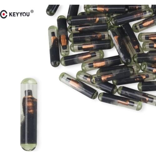 KEYYOU 1PC ID48 Glass Transponder Key Transponder Chip ID48 4D48 Megamos Crypto Chip For VW For Skoda For Audi For Honda