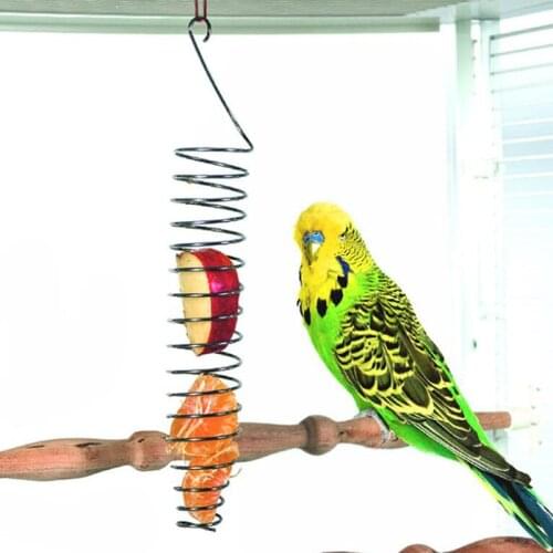 Stainless Steel Parrot Bird Food Basket Foraging Toy For Earhead Fruits Vegetables