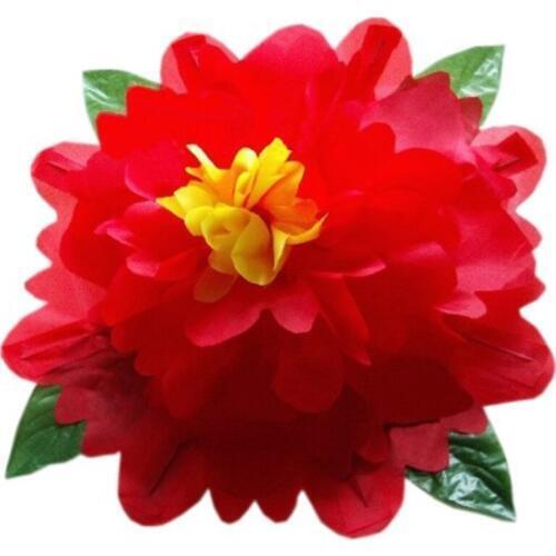 Peony Production (45cm,Red ) Magic Tricks Funny Stage Empty Hand Appearing Flower Magic Gimmick