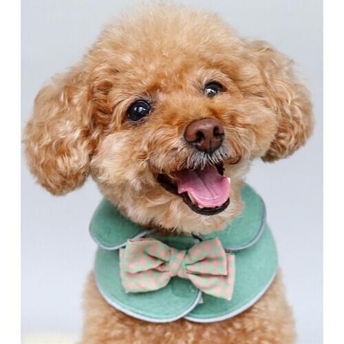 Dog Cat Kindergarten Shawl Student Bowknot Princess Style Cape Pet Supplies