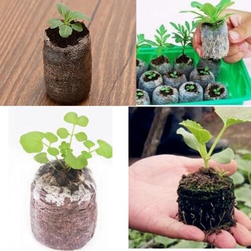 10 Pieces Seedling Soil Block Peat Pellets Seed Starting Plugs Pallet Seedling Condense Soil Block Nursery Seed Fertilizer Plant