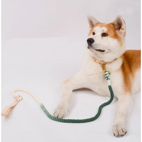 1.5m Length gradient hand-knitted color cotton rope pet dog collar bondage traction rope Pet Traction Rope Collar Set Firm