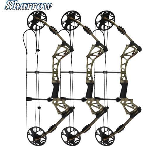 15-70lbs Compound Bow Hunting Pulley Bow & Arrow Sets Carbon Fiber Material Slingshot Crossbow Hunting Shooting High Quality