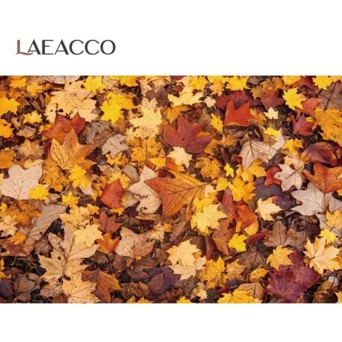 Laeacco Autumn Fallen Leaves Scene Portrait Food Pet Shoot Photozone Photographic Backdrop Photography Background Photo Studio