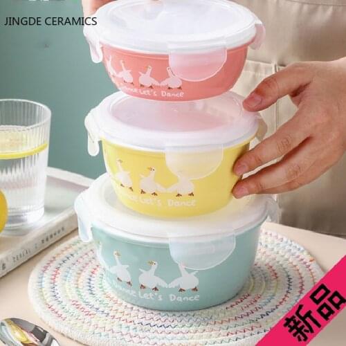 Colorful Ceramic Mixing Bowls with Plastic Airtight Lids Bowls with Non-Slip Bottom Salad Bowls Home Cooking Baking Container