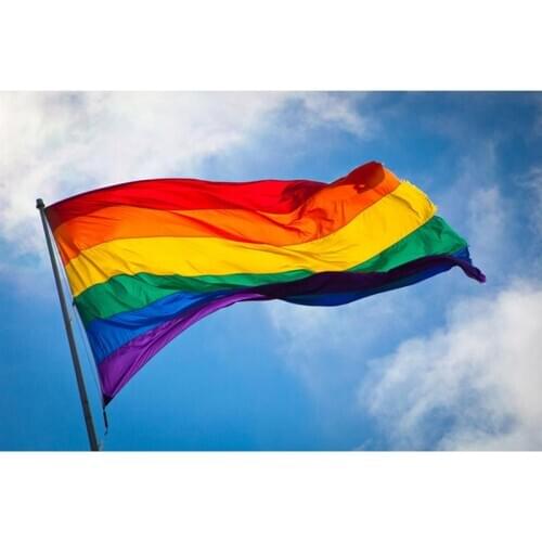 Polyester Rainbow Flag Large LGBT Pride Flag Outdoor Banner (60*90cm)
