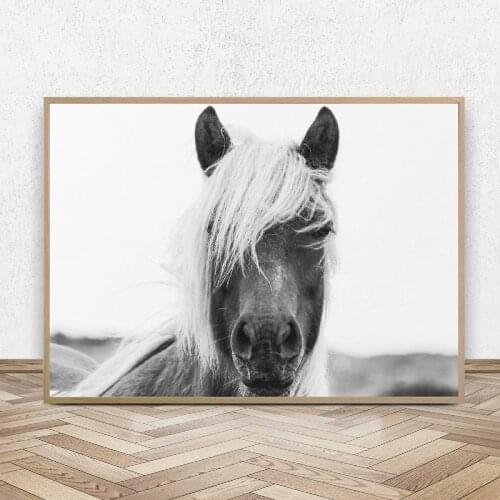 Black And White Horse Wall Art Animals Poster Modern Photography Horse Head Canvas Painting Picture for Living Room Home Decor
