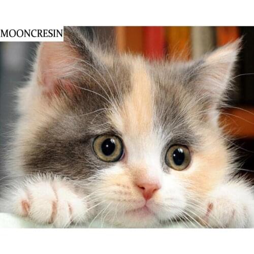 5D Diamond Painting Cat Full Square Needlework Cross Stitch Kit Diy Diamond Embroidery Handcraft Mosaic Pattern Decoration Home