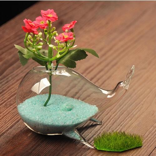Succulents moss pots hydroponic exclusive glass flower vase home decor whale