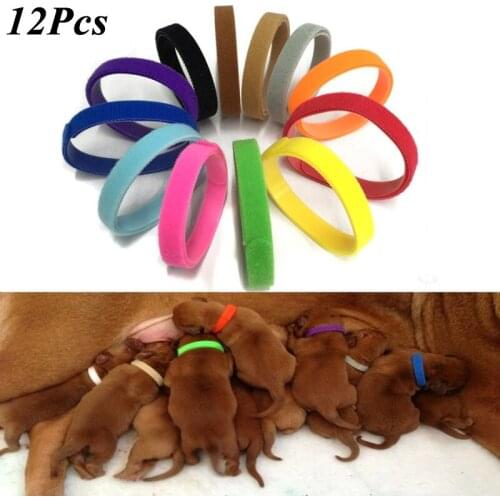 12 Pcs/Set Puppy Newborn Pets Identify Collars Adjustable Nylon Small Pet Dog Collars Kitten Necklace Whelping Puppy Collars