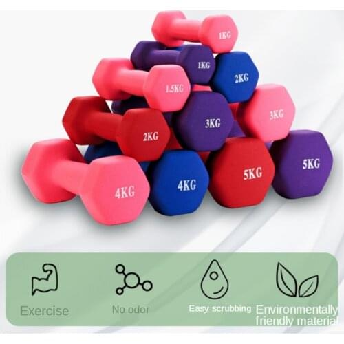 1 Pair Multifunctional Dumbbell for Women Fitness Equipment Slimming Body Building WeightLifting Exercise Home Fitness Dumbbells