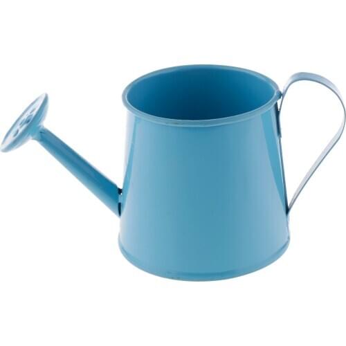 Vintage Iron Metal Watering Can Desktop Flower Vase Pots Home Garden Decor