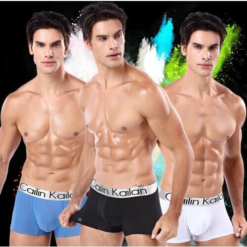 10Pcs/lot Boxershorts Mens Underwear Boxers Hombre Bokserki Modal Soft Mens Boxer Breathable Ropa Underwear Free Shipping
