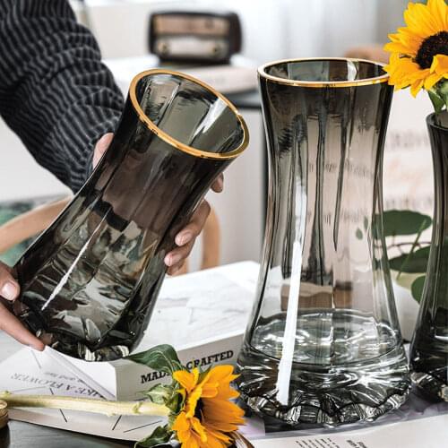 Light luxury gold-painted creative simple transparent glass vase water-grown flowers lily Nordic living room flower arrangement