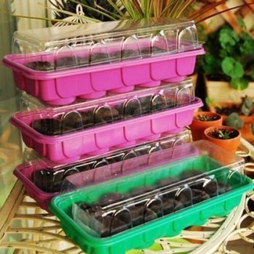 Garden planting 4pcs nursery tray (10 holes) and 40pcs 38mm jiffy block to put seed bonsai flower nursery plastic seedling tray