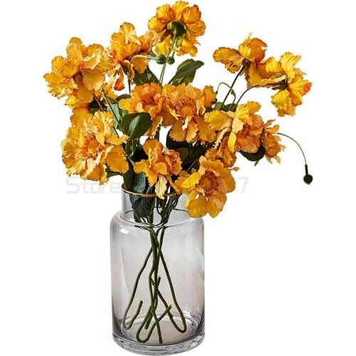 Nordic Style Transparent Glass Vase Round Modern Decor Vases for Flowers Living Room Decoration Terrarium Glass Decoration Vase