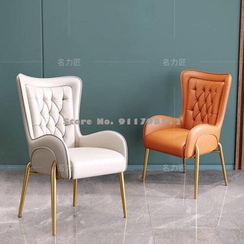 Nordic light luxury dining chair modern minimalist home net red makeup chair hotel nail studio iron back chair