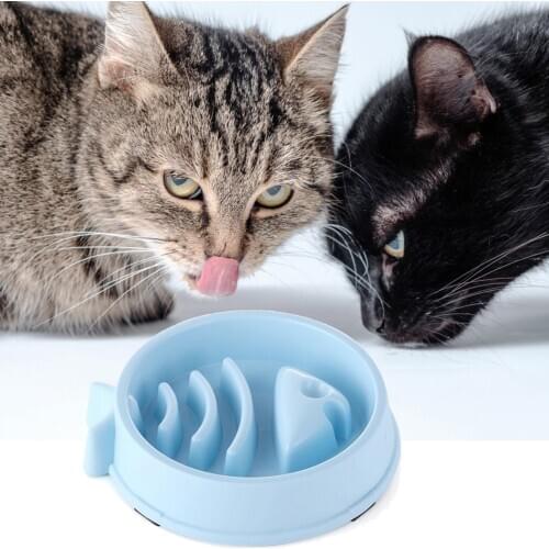 Pet Slow Feeder Anti-gulping Non-slip Creative Pet Food Bowl Pet Feeding Bowl Pet Products Cat Bowl