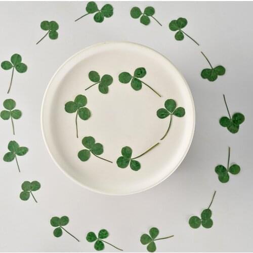 60pcs Pressed Dried Flower Shamrock Oxalis Leaf Herbarium Epoxy Jewelry Bookmark Phone Case Makeup Nail Art Craft DIY