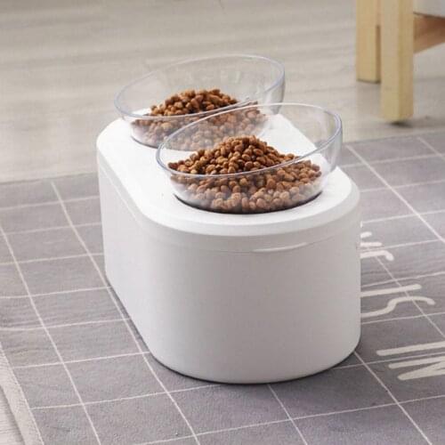 Double Elevated Cat Bowls Cat Food Water Bowls Anti Vomiting Raised Cat Food Feeder With Pet Food Storage Bin For Small Dogs