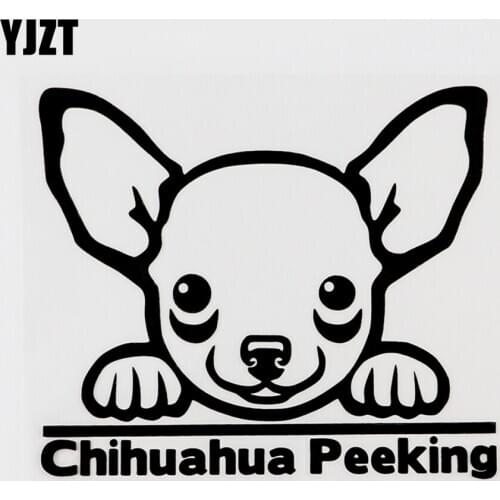 YJZT 13.3CMX11.4CM Funny Animal Chihuahua Peeking Vinyl Decal Car Sticker 8C-0205