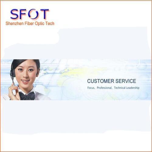 Professional Custom Service (2nd for V1600G2 FTTH)