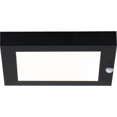 Paulmann Floor Lighting