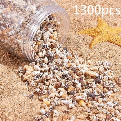 1300-1500Pcs/Box Natural Shell Conch Ornaments Accessories Parts DIY Material Jewelry Components Fish Tank Home Decoration