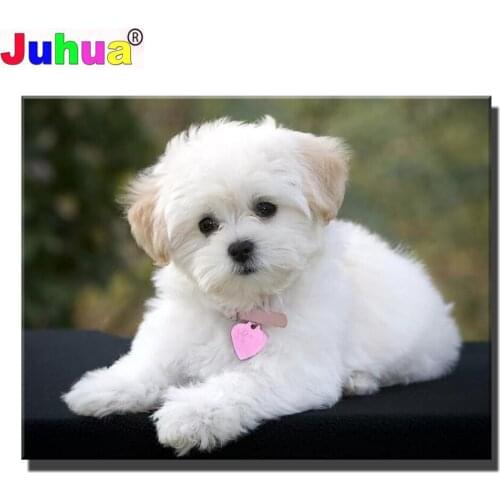 Diy full square/round drill diamond painting young maltese dog 5d diamond mazayka embroidery white animal decor FB123