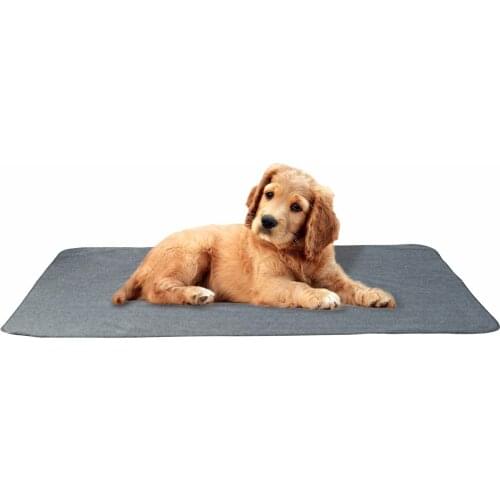 Pet Dog Cat Blanket Soft Polar Fleece Thickened Fluffy Pet Pad Waterproof Anti-fouling Drip Plastic Anti-skid Warm Comfortable M