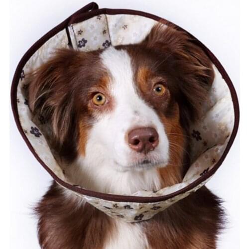 OSSO FASHION Collars