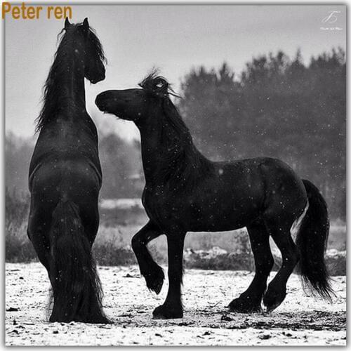 Diy diamond painting square drill rhinestone cross stitch Embroidery pattern Arts and Crafts Needlework Two black horse