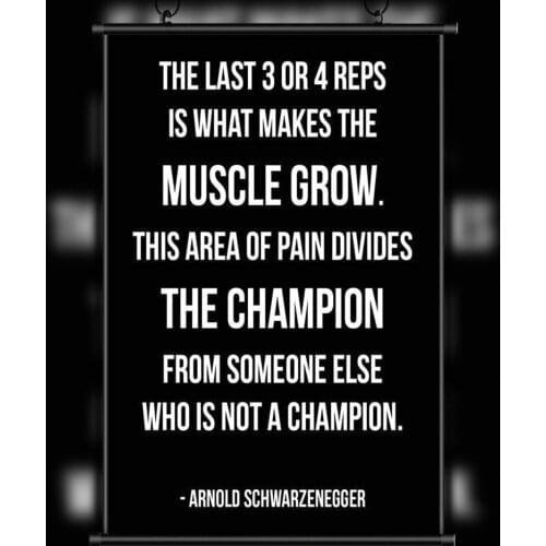 46 Custom Poster Silk Home Deco ARNOLD SCHWARZENEGGER Bodybuilding Motivational Gigantic Strong Wall Art Christmas Gift