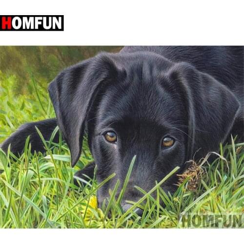 HOMFUN Full Square/Round Drill 5D DIY Diamond Painting "Black dog grass" Embroidery Cross Stitch 5D Home Decor Gift A30088
