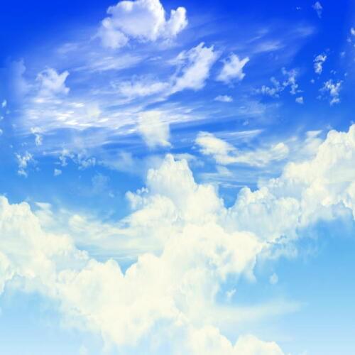 TR White Cloud Blue Sky Photography Backdrops Newborn Children Outdoor Photo Studio Background 150cm*200cm fundo da fotografia