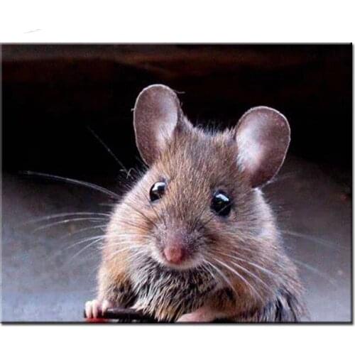 5D DIY Diamond Painting Full Square/Round Drill "cartoon big eye mouse" Embroidery animal Cross Stitch art Home Decor Gift E1625