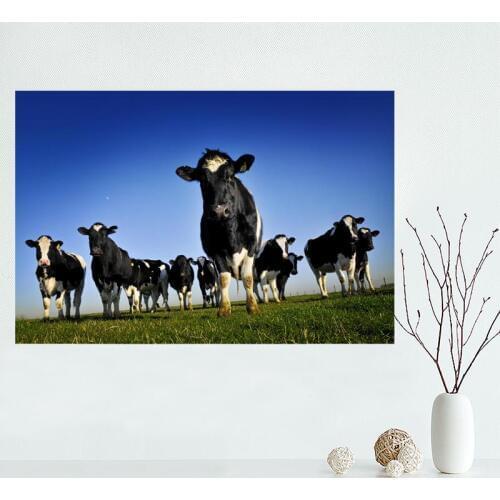 Custom cow Canvas Painting Poster High Quality Canvas Poster Home Decoration cloth fabric wall poster print