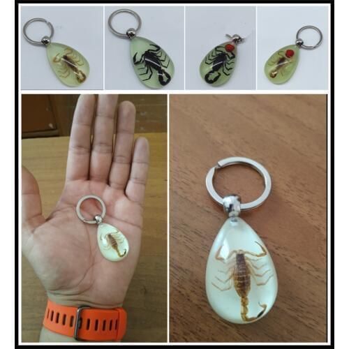 Motorcycle style scorpion luminous wear key chain crafts accessories for CALIFORNIA Custom TouRing Classic ELDORADO GRISO MGX21