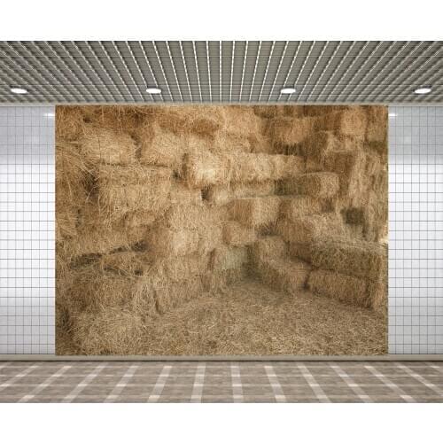 Lyavshi Haystack Photographic Backgrounds Granary Rural Room Baby Children Portrait backdrop photo background studio