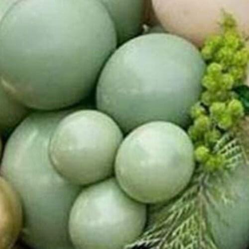 Hot 100Pcs Green Balloons Olive Green Balloons Eucalyptus Party Latex Balloon 12 Inch for Women Men Birthday Baby Wedding