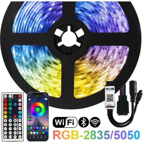 DC 12V RGB LED Strip Lights Bluetooth WiFi Luces Led Light For Room SMD2835 5050 Flexible Waterproof Tape Diode Remote Control