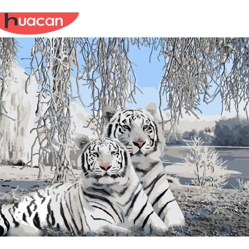HUACAN DIY Pictures By Number Tiger Kits Painting By Numbers Animal Hand Painted Paintings Gift Drawing On Canvas Home Decor