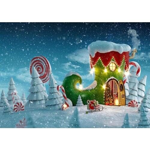 Gingerbread house backdrop winter Skittles ice cream Party Photo Professional Vinyl Background Photography Backdrop