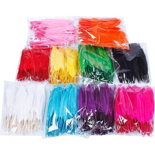 Not Colorful But 10 Colors for Choosing Hot Pretty 100pcs/Pack Beautiful Home Decor Goose Feather 4-6 Inches 8-15 cm #65764