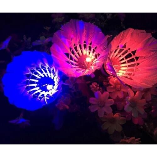 1 PCS Luminous Shuttlecock LED Dark Night Glow Goose Outdoor Sports Feather Training Badminton Ball