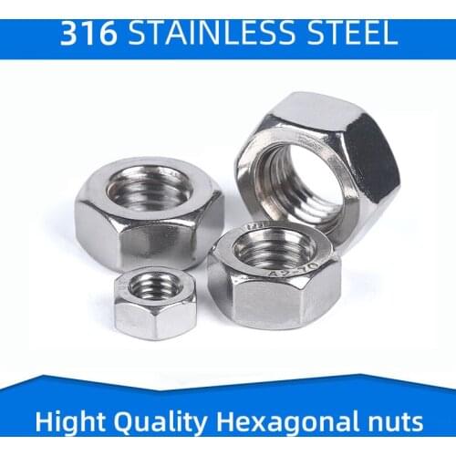 316 Stainless Steel Hexagon Nut Hex Nuts Fastener Fixture Fasteners for M2 M2.5 M3 M4 M5 M6 M8 M10 M12 M14 M16 M18 M20 M22 M24