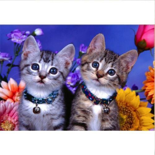 Diy Diamond Painting Needlework mosaic Rhinestones picture Cross Stitch craft Diamond Embroidery Animal series Flower and cat 23