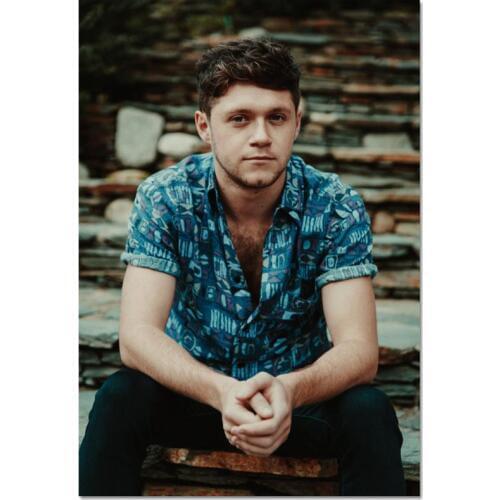New Arrival Custom Niall Horan Poster Home Decoration Fashion Silk Fabric Wall Poster Customize Poster 2020.6.15