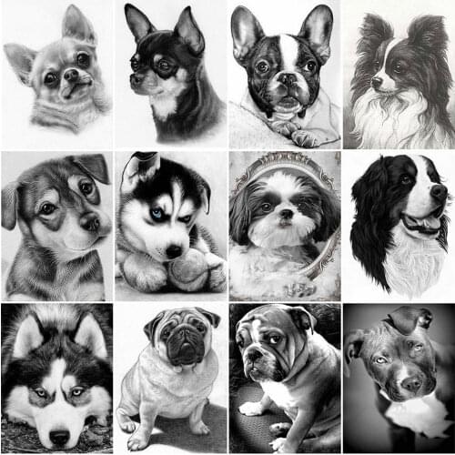 HUACAN Diamond Painting Black And White Dog Full Square Round Drill Diamond Embroidery Animal Mosaic Needlework Art Home Decor