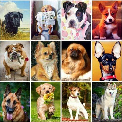 HUACAN Diamond Painting Full Square Dog 5D Diy Diamond Embroidery Picture Mosaic Rhinestone Handmade Gift Home Decor